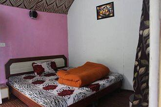 Nature Treat, Solan 4